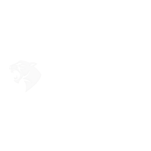 Panthera Project